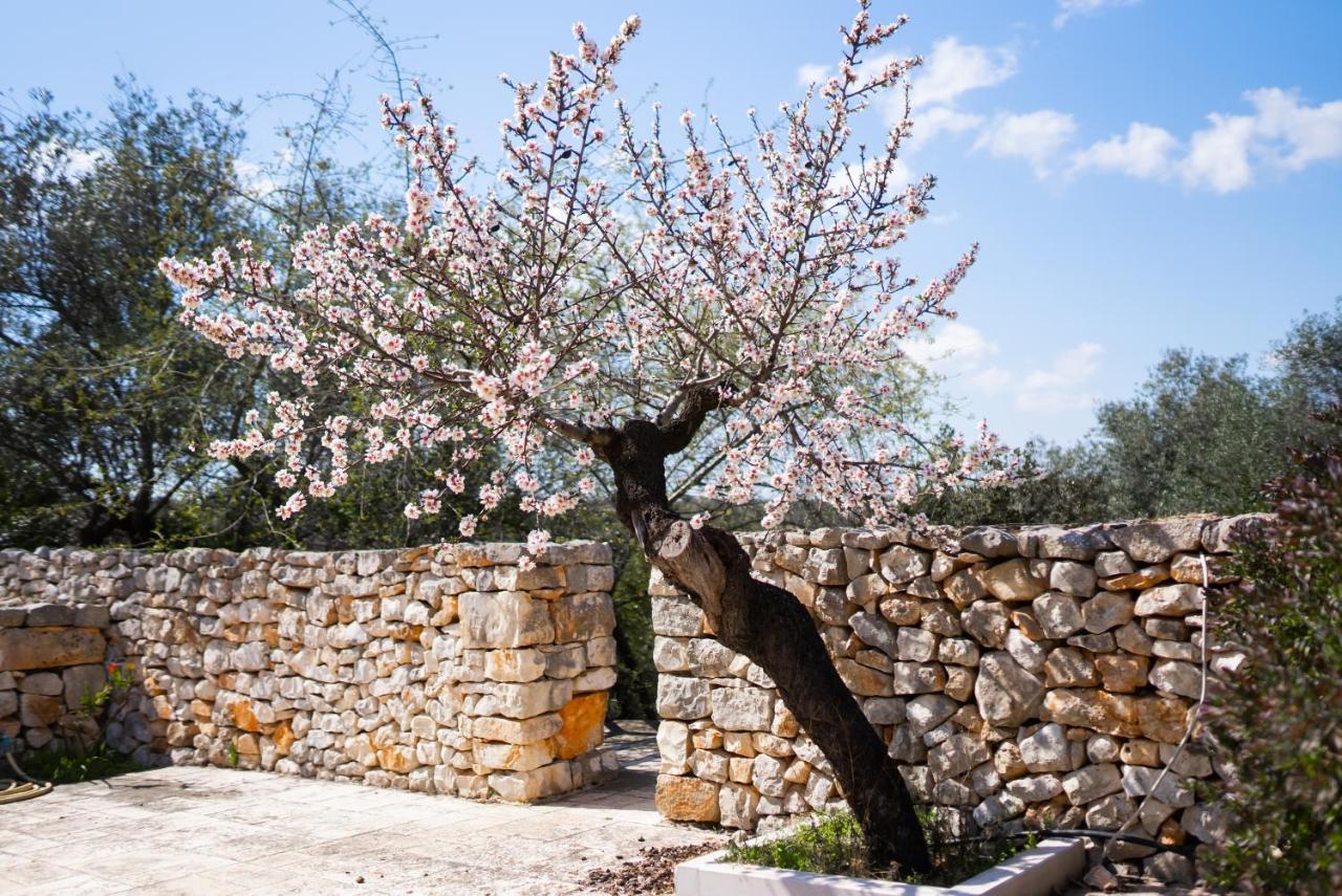 Masseria Montepaolo Dimora Di Charme Конверсано Экстерьер фото